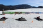 Preview: Mobile Biathlon Laser Schießstände mieten